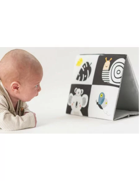 Taf Toys Knížka pro hru na bříšku se zrcátkem