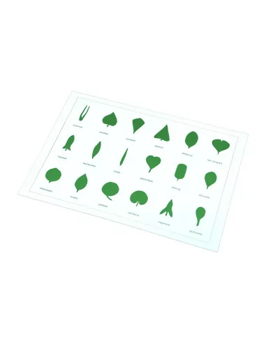 Moyo Montessori Tvary listů (karta)