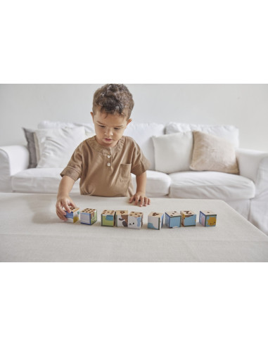 PlanToys Obrázkové kostky - Zvířata