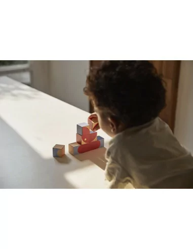 PlanToys Dětské kostky s obrázky