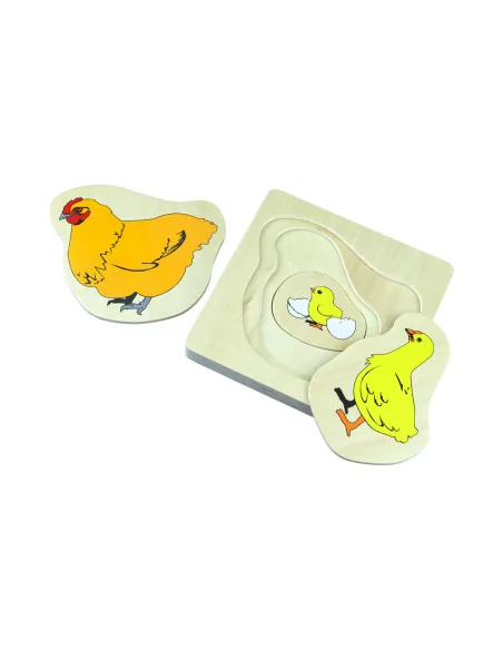 Moyo Montessori Životní cyklus kuřete