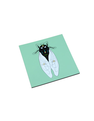 Montessori Puzzle - moucha