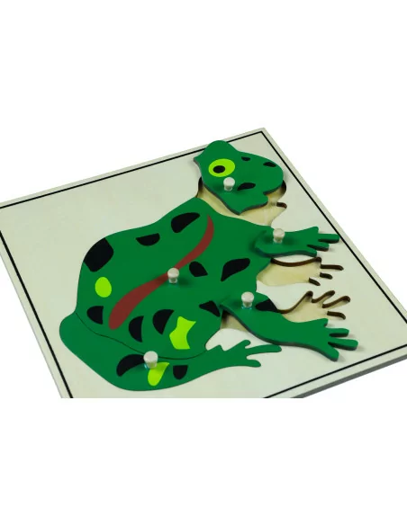 Moyo Montessori Puzzle - žába