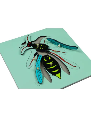 Moyo Montessori Puzzle - vosa