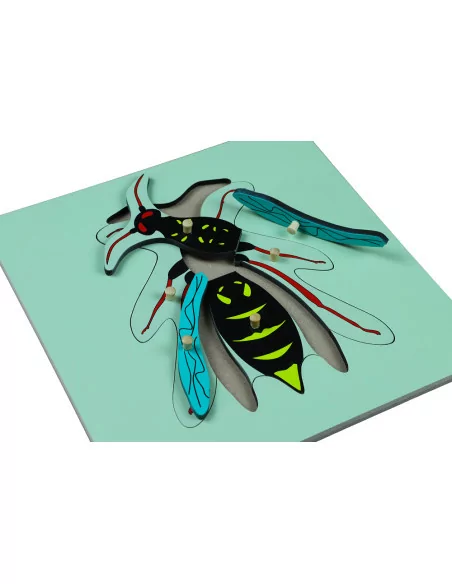 Moyo Montessori Puzzle - vosa