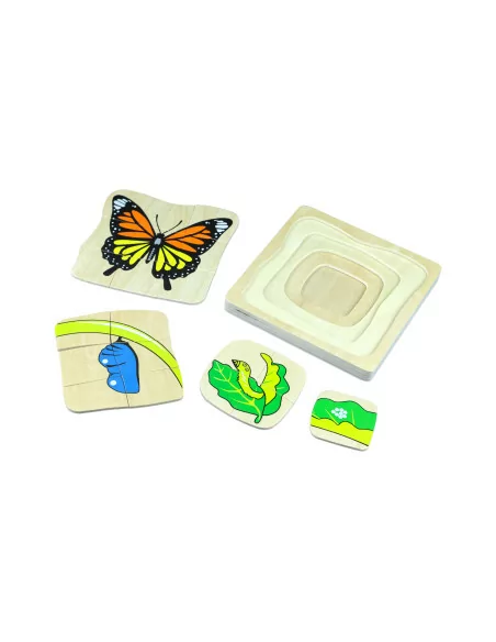 Moyo Montessori Životní cyklus motýla