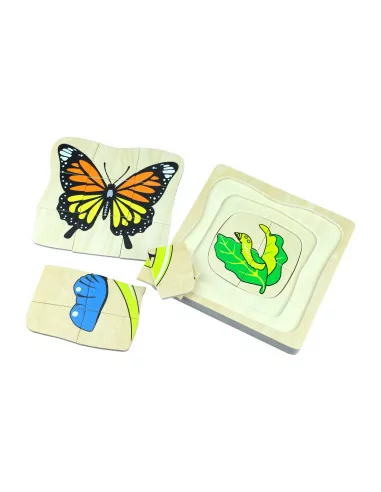 Moyo Montessori Životní cyklus motýla