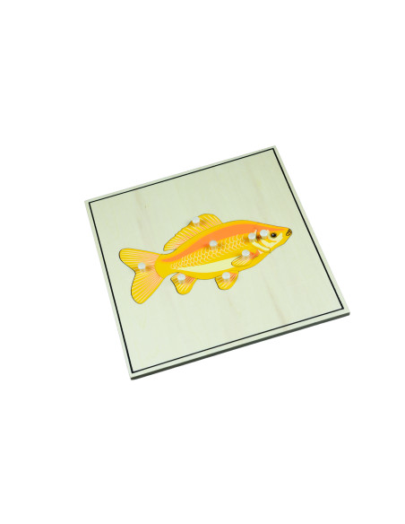 Montessori Puzzle s kostrou - ryba