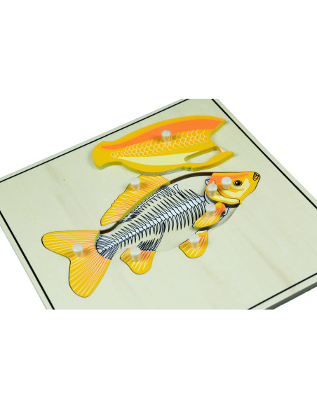 Montessori Puzzle s kostrou - ryba