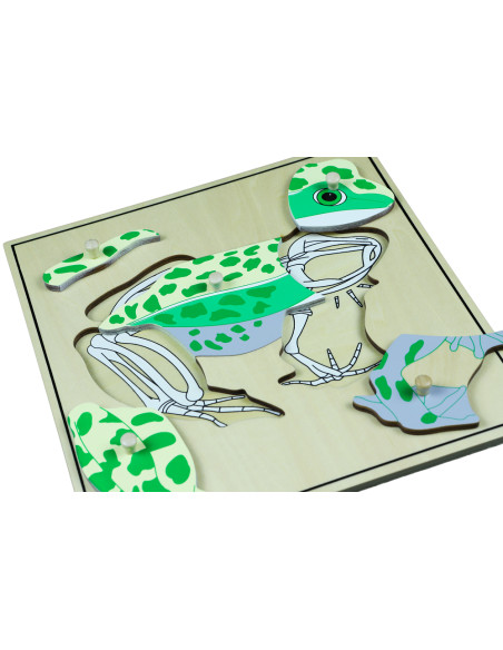 Montessori Puzzle s kostrou - zaba