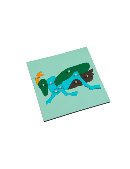 Montessori Puzzle - cvrcek