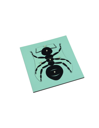 Moyo Montessori Puzzle - mravenec