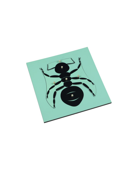 Moyo Montessori Puzzle - mravenec