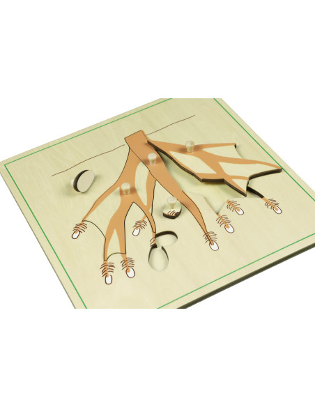 Moyo Montessori Puzzle - kořen