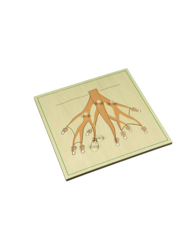 Moyo Montessori Puzzle - kořen