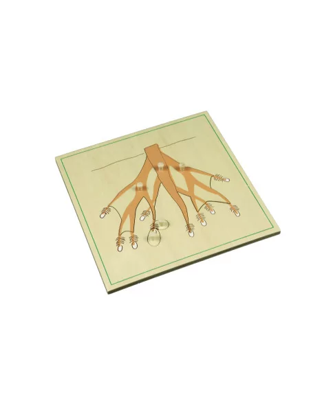 Moyo Montessori Puzzle - kořen