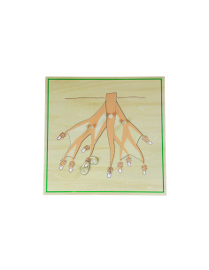 Moyo Montessori Puzzle - kořen