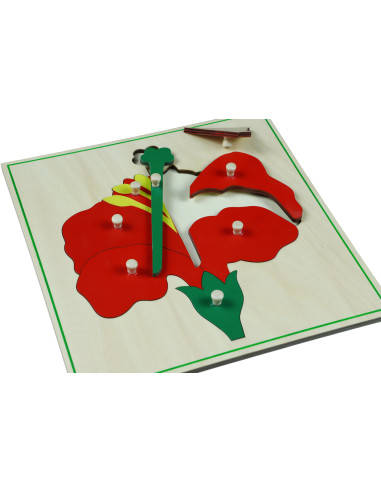 Montessori Puzzle - Kvetina
