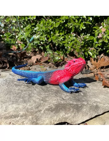 Safari Ltd. Figurka - Agama plochohlavá - Mwanza