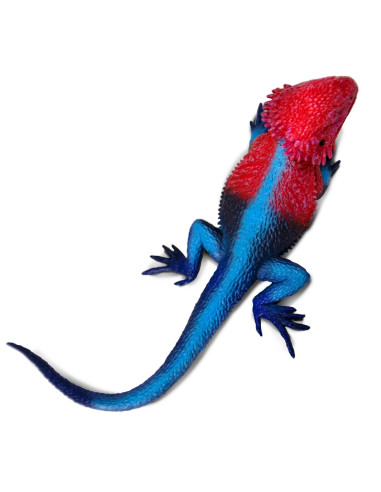 Safari Ltd. Figurka - Agama plochohlavá - Mwanza