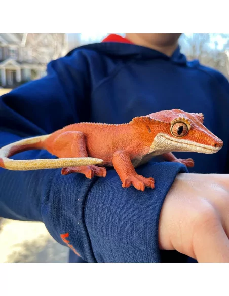 Safari Ltd. Figurka - Gekon chocholatý