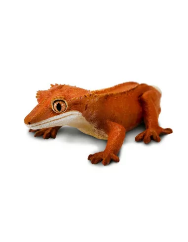 Safari Ltd. Figurka - Gekon chocholatý