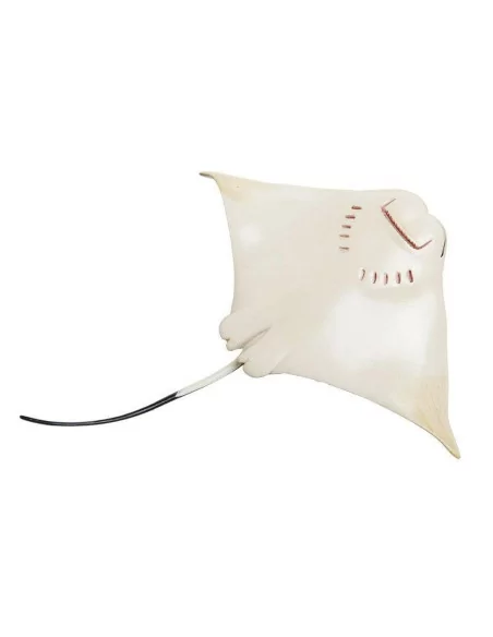 Safari Ltd. Figurka - Maran atlantský