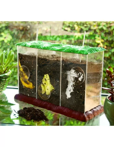 Learning Resources Pozorovací kompostér