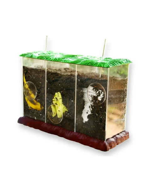 Learning Resources Pozorovací kompostér