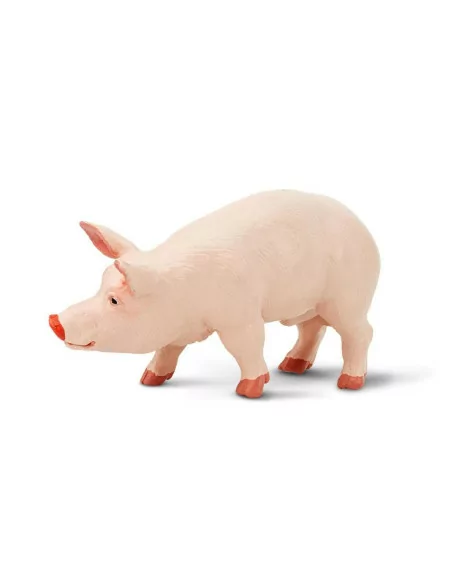 Safari Ltd. Figurka - Kanec prasete domácího