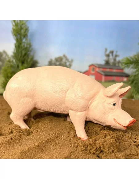 Safari Ltd. Figurka - Kanec prasete domácího