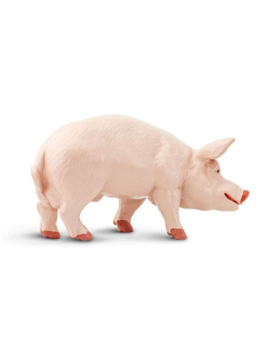 Safari Ltd. Figurka - Kanec prasete domácího