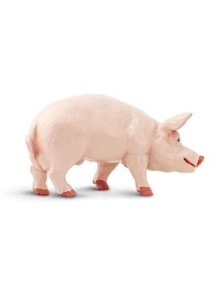 Safari Ltd. Figurka - Kanec prasete domácího