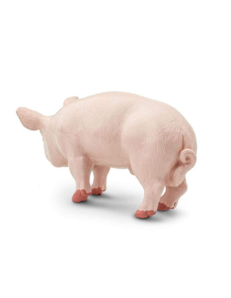 Safari Ltd. Figurka - Kanec prasete domácího