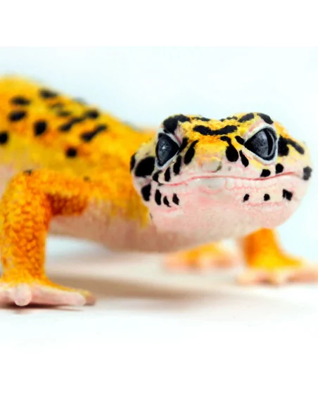 Safari Ltd. Figurka - Gekončík noční