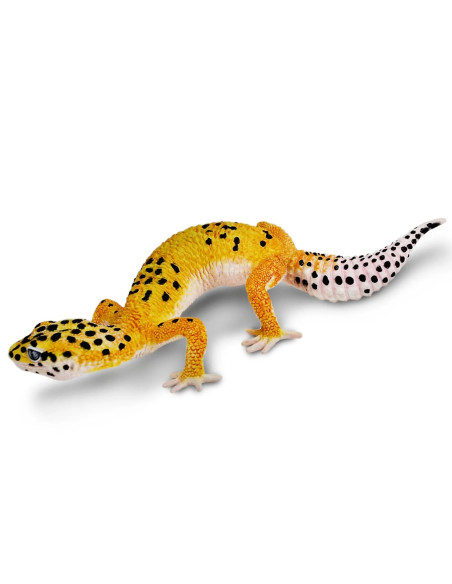 Safari Ltd. Figurka - Gekončík noční