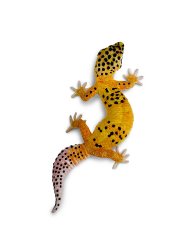 Safari Ltd. Figurka - Gekončík noční