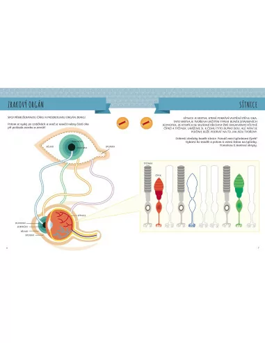 Moje první kniha o pěti smyslech