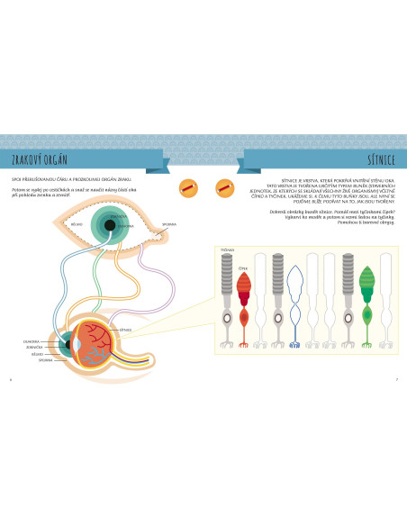 Moje první kniha o pěti smyslech