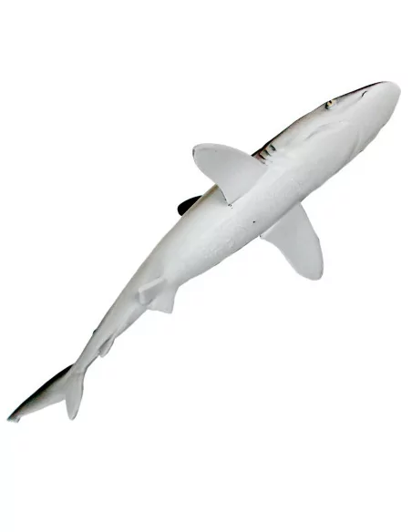 Safari Ltd. Figurka - Žralok hedvábný