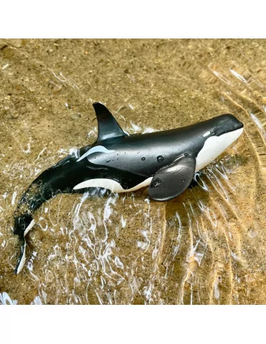 Safari Ltd. Figurka - Kosatka dravá