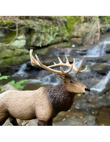 Safari Ltd. Figurka - Wapiti