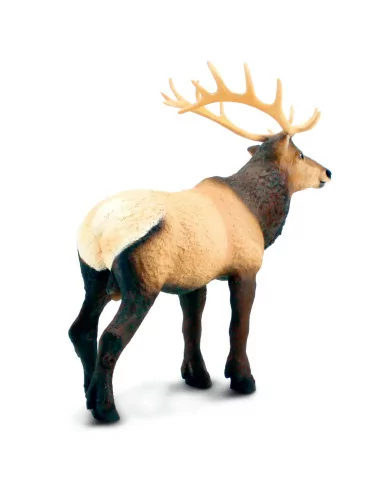 Safari Ltd. Figurka - Wapiti