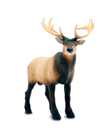 Safari Ltd. Figurka - Wapiti