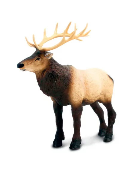 Safari Ltd. Figurka - Wapiti
