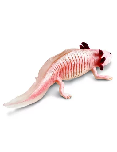 Safari Ltd. Figurka - Axolotl