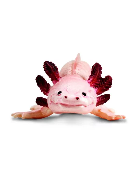 Safari Ltd. Figurka - Axolotl