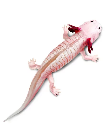 Safari Ltd. Figurka - Axolotl