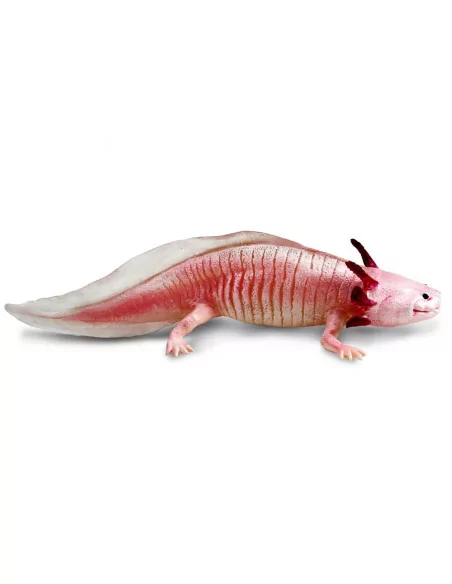 Safari Ltd. Figurka - Axolotl