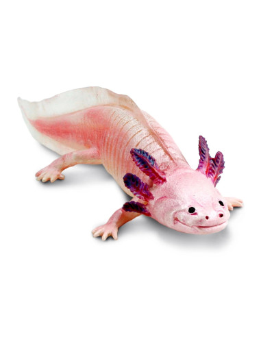 Safari Ltd. Figurka - Axolotl